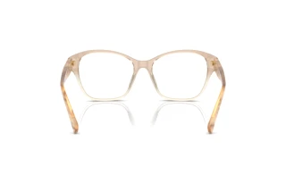 Widok z tyłu Ralph Lauren RL6236U (6111)