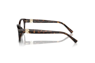 Widok z boku Ralph Lauren RL6237U (5003)