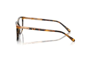 Widok z boku Ralph Lauren RL6242U (5134)