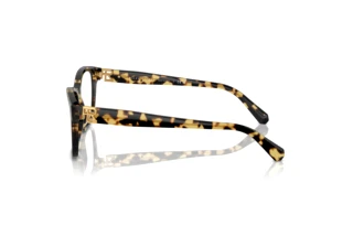 Widok z boku Ralph Lauren RL6243 (5004)