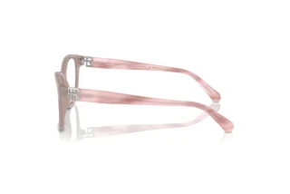 Widok z boku Ralph Lauren RL6243 (6183)