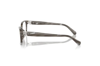 Widok z boku Ralph Lauren RL6244U (6175)