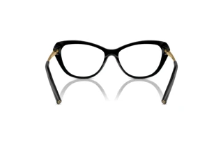 Widok z tyłu Ralph Lauren RL6245 (5001)