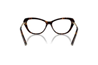 Widok z tyłu Ralph Lauren RL6245 (5003)