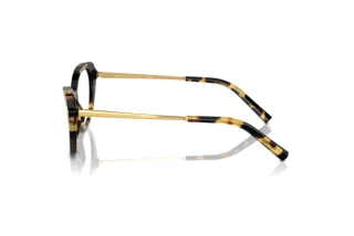 Widok z boku Ralph Lauren RL6245 (5004)