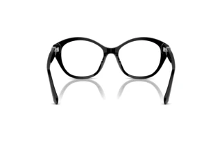 Widok z tyłu Ralph Lauren RL6246U (5001)