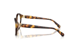 Widok z boku Ralph Lauren RL6246U (5134)
