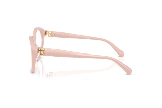 Widok z boku Ralph Lauren RL6246U (6053)