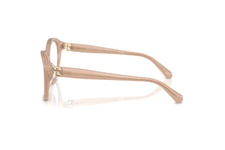 Widok z boku Ralph Lauren RL6246U (6217)