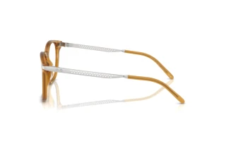 Widok z boku Ralph Lauren RL6248U (5275)
