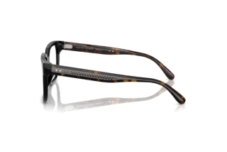 Widok z boku Ralph Lauren RL6249U (5241)