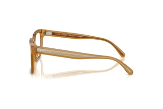 Widok z boku Ralph Lauren RL6249U (5275)