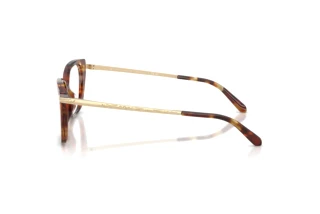 Widok z boku Ralph Lauren RL6250U (6056)