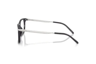Widok z boku Ralph Lauren RL6253U (5965)