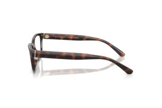 Widok z boku Ralph Lauren RL6254U (6241)