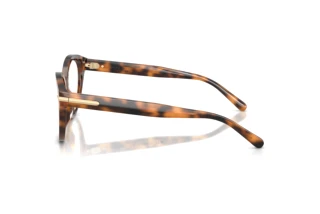 Widok z boku Ralph Lauren RL6256U (6089)