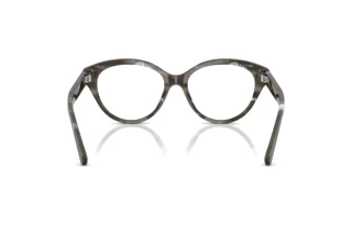 Widok z tyłu Ralph Lauren RL6256U (6175)