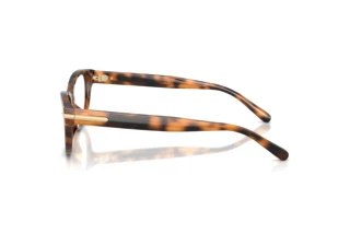 Widok z boku Ralph Lauren RL6257U (6089)