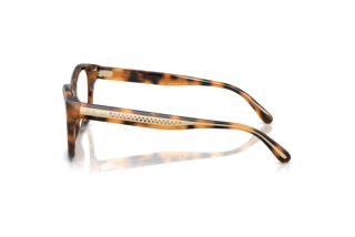 Widok z boku Ralph Lauren RL6259U (6089)