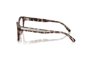 Widok z boku Ralph Lauren RL6259U (6307)