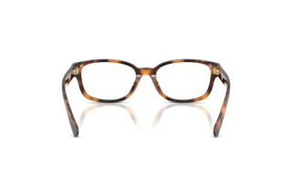 Widok z tyłu Ralph Lauren RL6261U (6089)