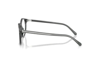Widok z boku Ralph Lauren RL6263U (6347)