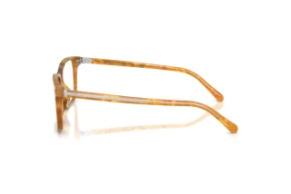 Widok z boku Ralph Lauren RL6264U (6185)