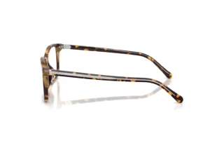 Widok z boku Ralph Lauren RL6264U (6339)
