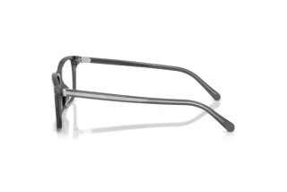 Widok z boku Ralph Lauren RL6264U (6347)
