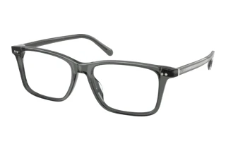 Widok z przodu Ralph Lauren RL6264U (6347)