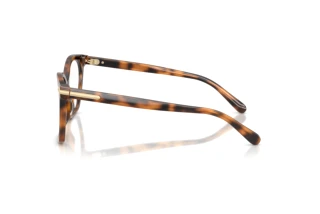 Widok z boku Ralph Lauren RL6266U (6089)
