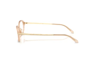 Widok z boku Ralph Lauren RL6269U (6062)