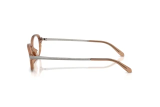 Widok z boku Ralph Lauren RL6269U (6377)