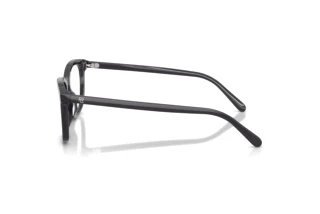 Widok z boku Ralph Lauren RL6270U (5965)