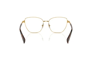 Widok z tyłu Ralph RA6060 (9004)