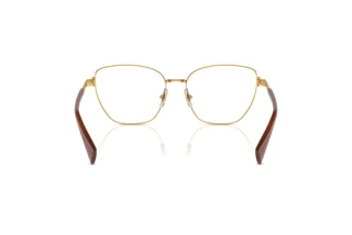 Widok z tyłu Ralph RA6060 (9458)