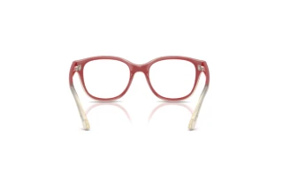 Widok z tyłu Ray-Ban Kids RY1950 (7204)