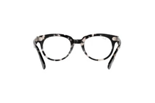 Widok z tyłu Ray-Ban RX2199V (8117)