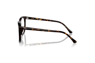 Widok z boku Ray-Ban RX2210V (2012)