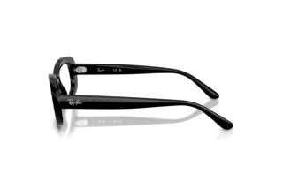 Widok z boku Ray-Ban RX2221V (2000)
