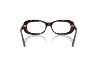 Widok z tyłu Ray-Ban RX2221V (2012)