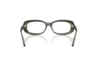 Widok z tyłu Ray-Ban RX2221V (8453)