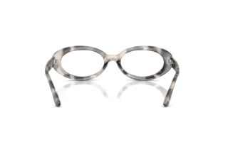 Widok z tyłu Ray-Ban RX2223V (8480)