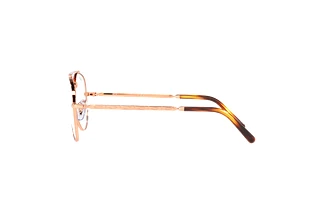 Widok z boku Ray-Ban NEW AVIATOR (RX3625V - 3094)