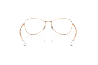 Widok z tyłu Ray-Ban RX3733V (3094)