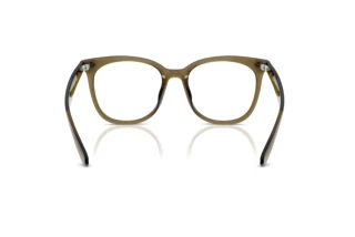 Widok z tyłu Ray-Ban RX4379VD (8445)