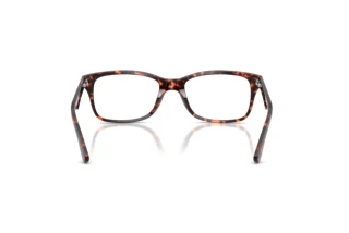 Widok z tyłu Ray-Ban RX5228 (8423)
