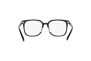 Widok z tyłu Ray-Ban RX5419D (2000)