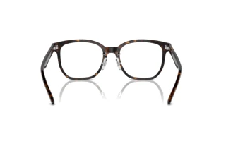 Widok z tyłu Ray-Ban RX5425D (2012)
