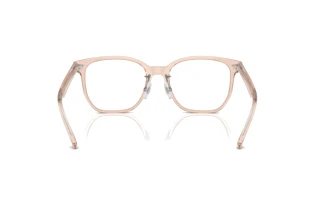 Widok z tyłu Ray-Ban RX5425D (8267)